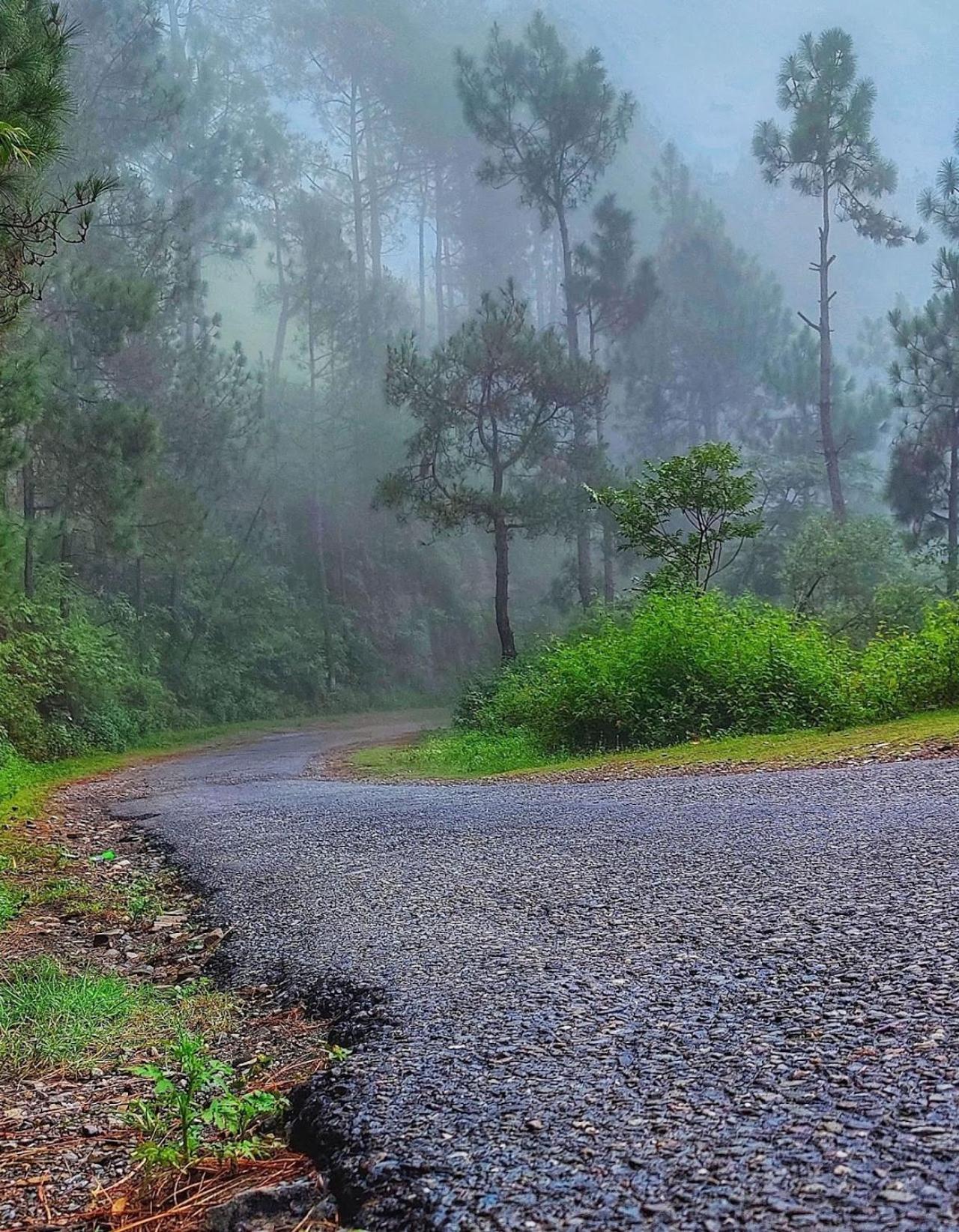 Kabana De Nature Rājgarh Εξωτερικό φωτογραφία